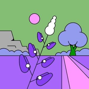 Meet your Posher, Isabella